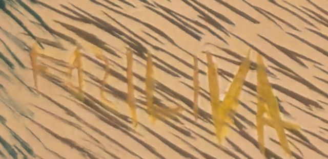 Detail of the painted signature: «FDZILVA»